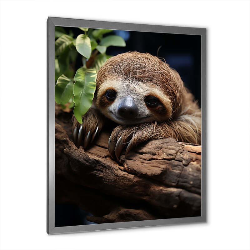 Rustic Repose Sloth sur toile, H 32 po x l 16 po x P 1 po, Cadre simple argenté