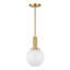 Luminaire suspendu 1 lumière Edmiston-1368676237