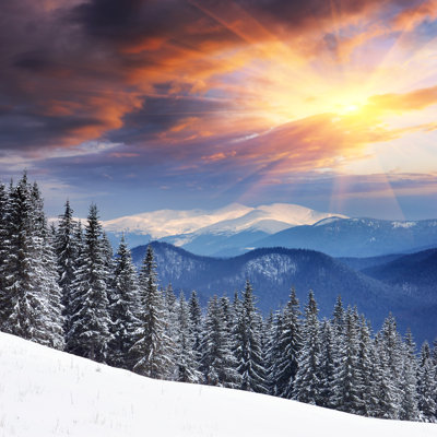 Paysage d'hiver - photographie sur toile tendue