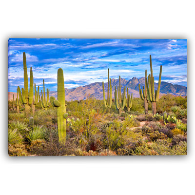 Art sur toile cactus désert majestueux