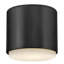 Hinkley Cedric Flush Mount Flat-1354030738