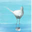 Egret 3 Print by Phyllis Adams