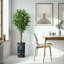 75 plantes-97992057