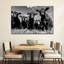 " Monochrome Angus Cows "-425075677