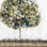 " Square Brush Trees " Painting Print