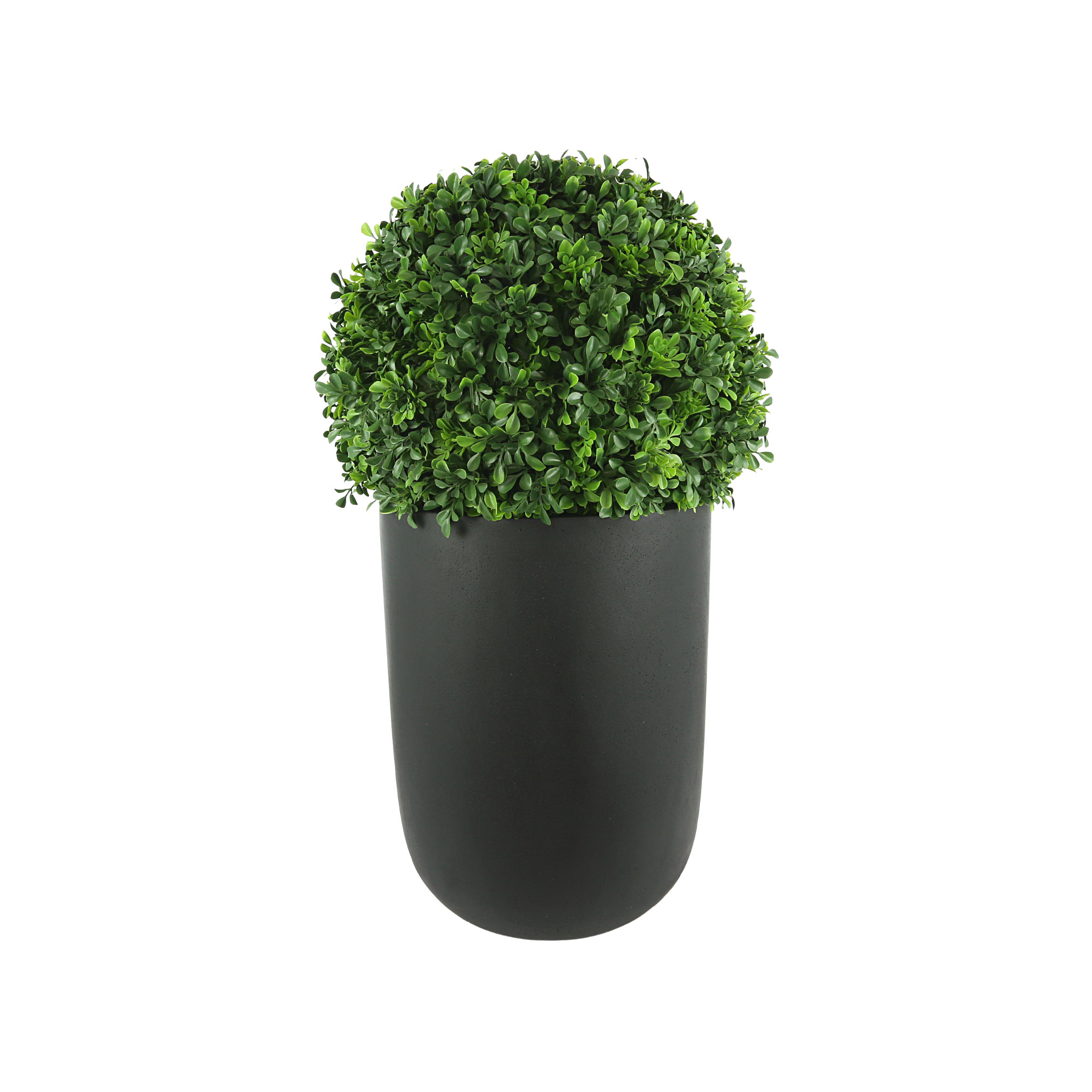 Primrue Outdoor UV Rated Boxwood in Fiberstone Planter | Wayfair