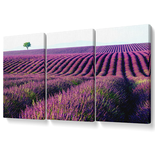 Ebern Designs Summer Lavender Fields - 3 Piece Wrapped Canvas Graphic ...