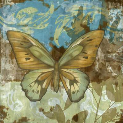 Rustic Butterfly I by Jennifer Goldberger - Wrapped Canvas Painting