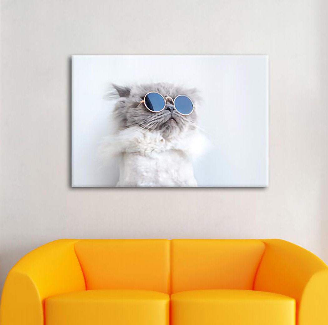 Leinwandbild Coole Katze mit runder Sonnenbrille