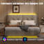 Upholstered Bed