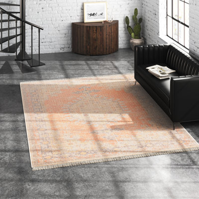 Cara Oriental Indoor Rug