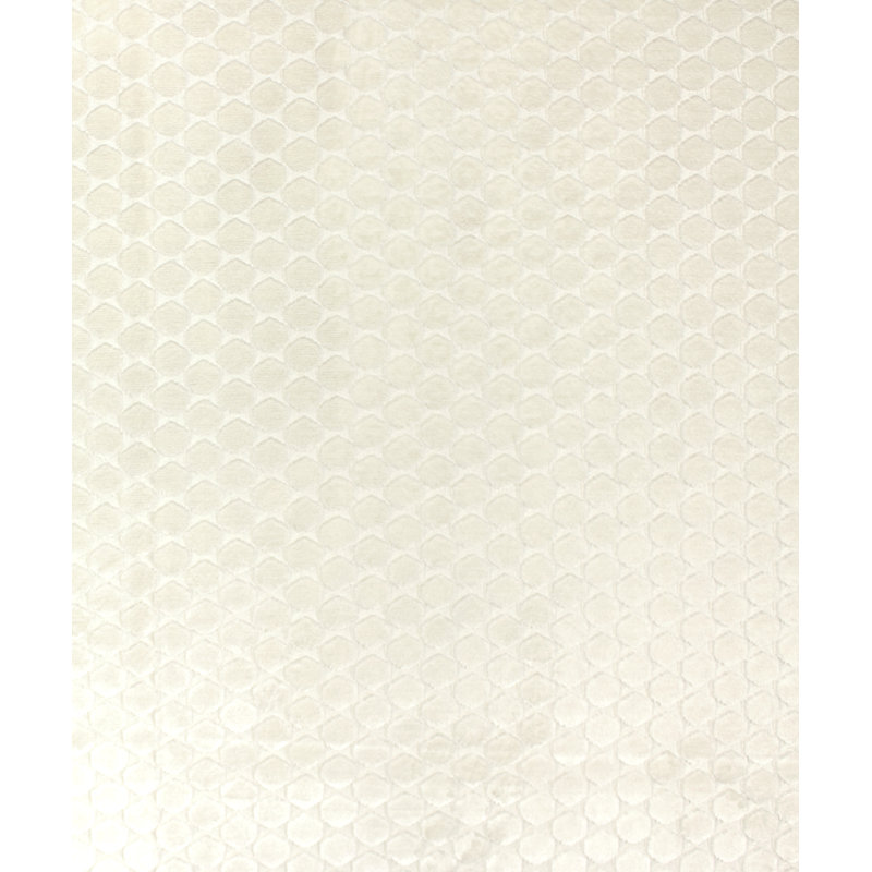 Ditty Fabric