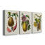 Fruit of the Tropics I - Toile tendue avec châssis sur mesure - 3 pièces-315242529