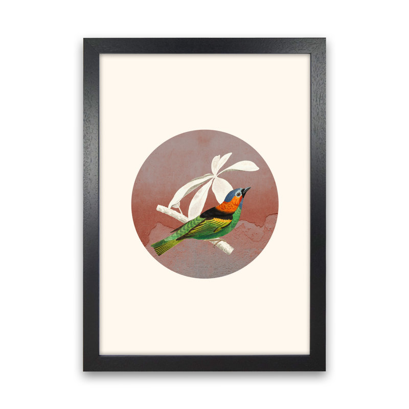 Bird Collage II - Print, Black Framed, 63cm H x 46cm W x 3cm D