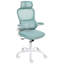 Office Chair with Headrest-252896915