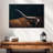 Cow Texas Longhorn-107532567