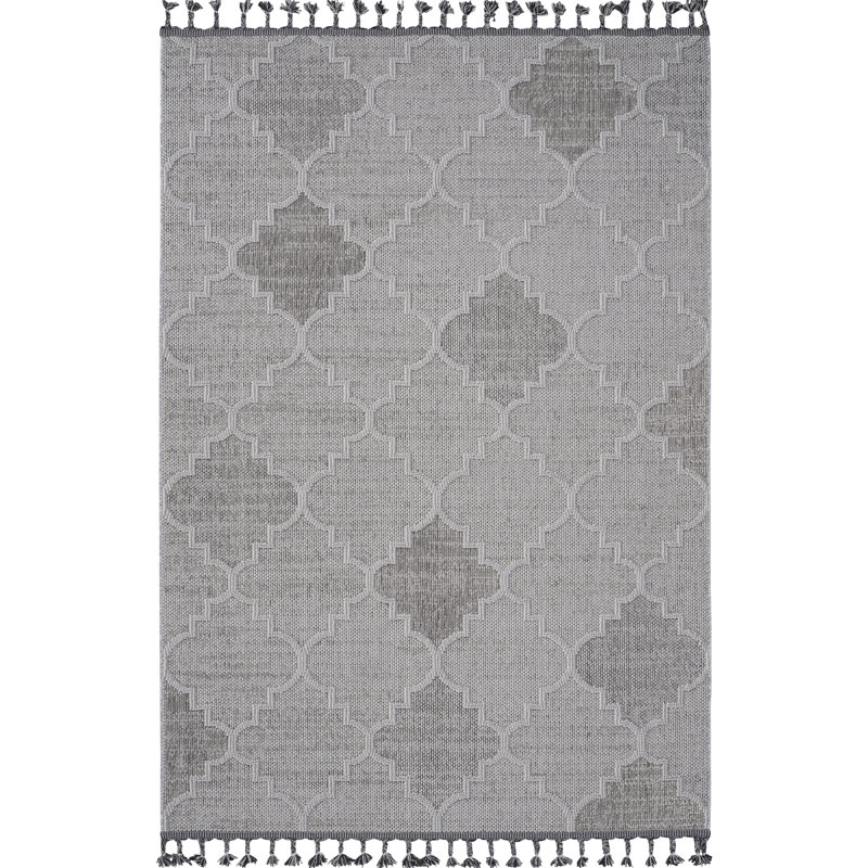 5X7 White/Grey Trellis Area Rug - Indoor & Outdoor Use. Stain , Non-Shedding. And Pet-. For Living Room, Dining Bedroom, Entryway, Nursery, Dorm, Study, Home Office, Kitchen. Easy To Clean, 0.28"