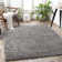 Beahm Indoor Rug