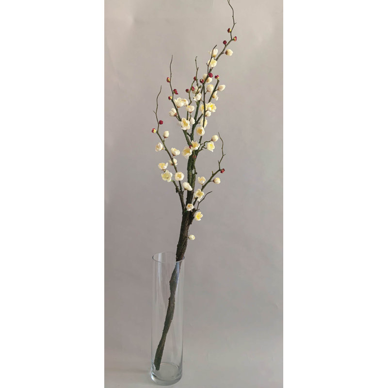 FLEUR DE PRUNIER 42'', Crème