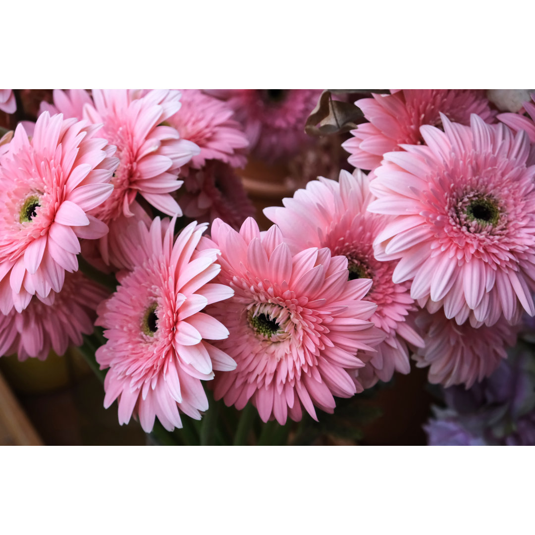 Rosa Gerbera-Blumenstrauß von Tolgart - Leinwandbild