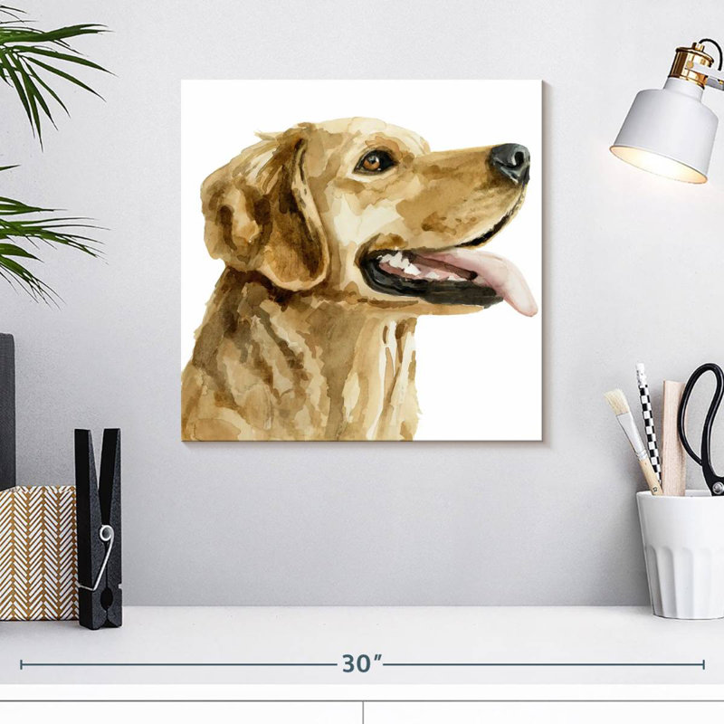 Brampt Pet Profile II