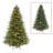 210' Lighted Fir Christmas Tree