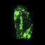 Willemite avec Franklinite. Mine Franklin