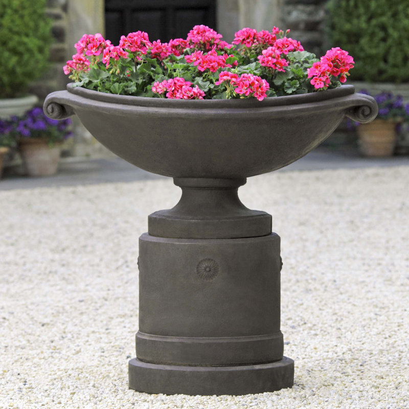 Medici Planter, Terra Nera