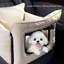 Siège d'auto pour chien pour petits chiens