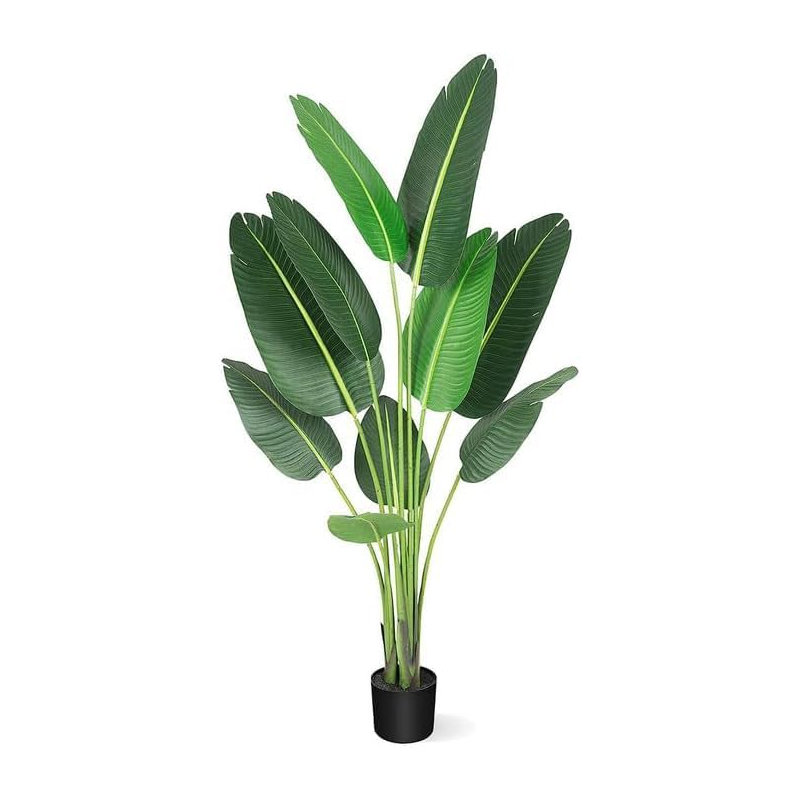 Plant, 216.1 cm x 60.04 cm