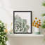 «Cactus Succulent Close Up Echeveria Red Tip White» sur papier-98266470-98266473