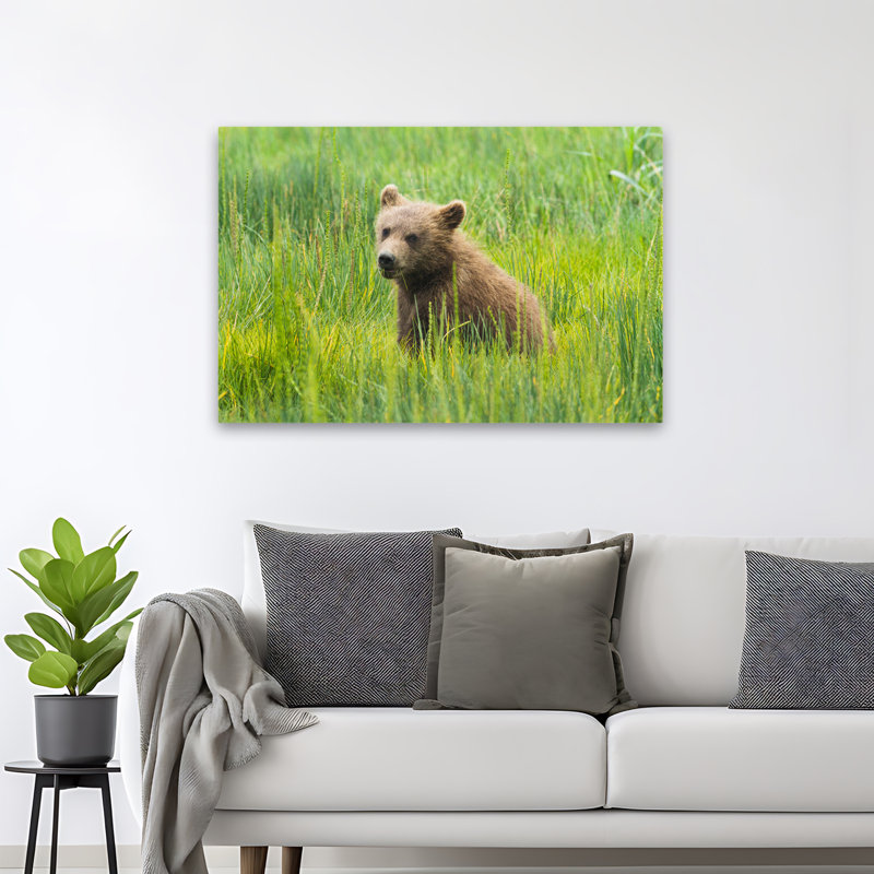 Ourson grizzly - Art animaux sauvages, H 48 po x l 32 po