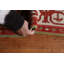Tapis oriental Heriz Serapi noué à la main 7 x 10