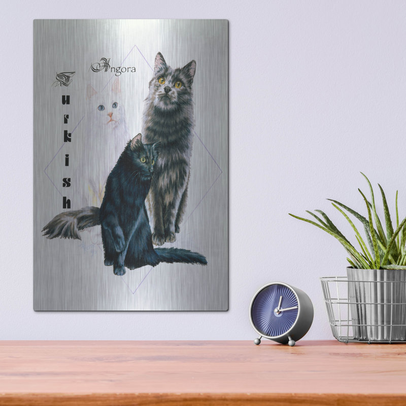 «Turkish Angora» par Barbara Keith, H 16 po x l 12 po