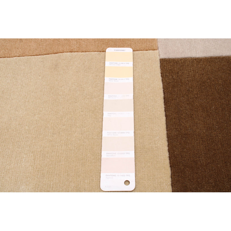 Tapis unique en laine beige / brun 3 pi 9 po x 5 pi 9 po New Age