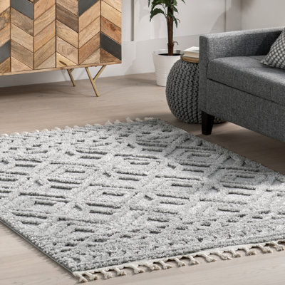 Akia Lattice High/Low Tassel Area Rug