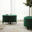 Brionna 60cm Wide Velvet Round Solid Colour Ottoman with Storage-391171660