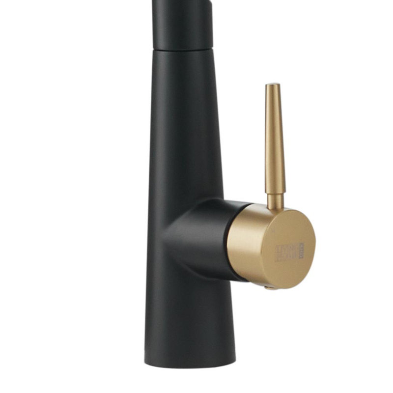 Belfry Kitchen Apollinaris Kitchen Faucet, Matte Black/Gold