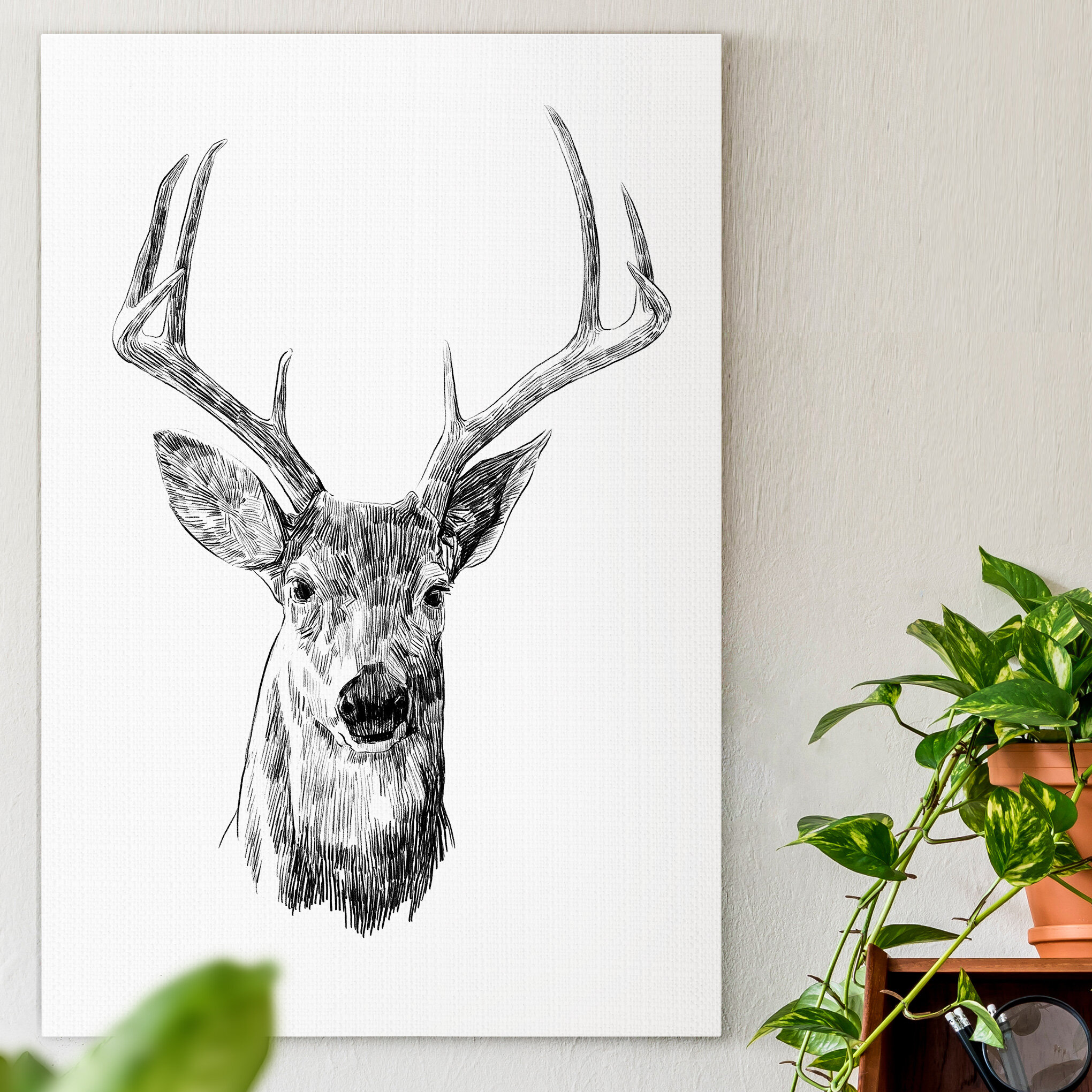Buck drawing  Deer drawing Deer art Elk drawing