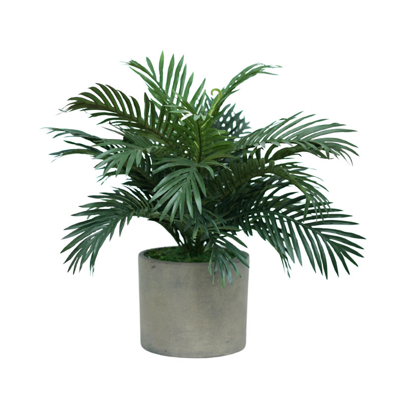 Faux Plant