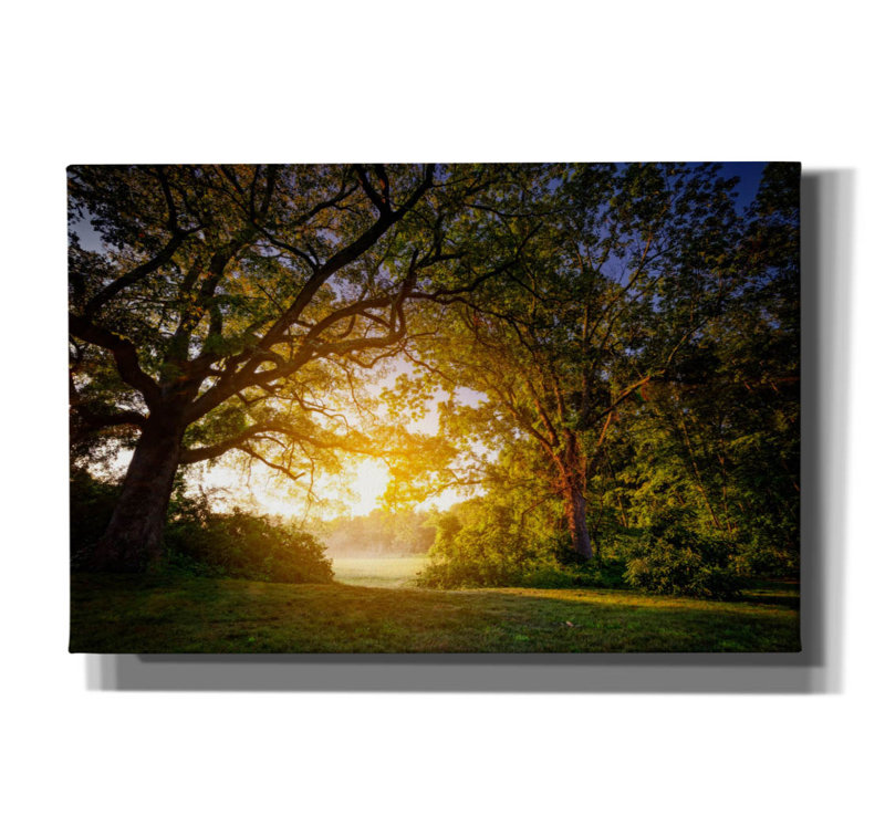 Toile épique «Sunrise Through The Trees» par Rick Berk, H 12 po x l 18 po x P 0,75 po