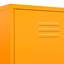 Alazhia Steel Wardrobe-2118603198