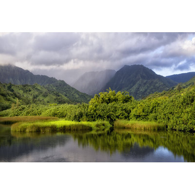 Coastal Marsh IV - Photograph