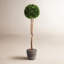 Alby Faux Boxwood Topiary in Planter-189621007