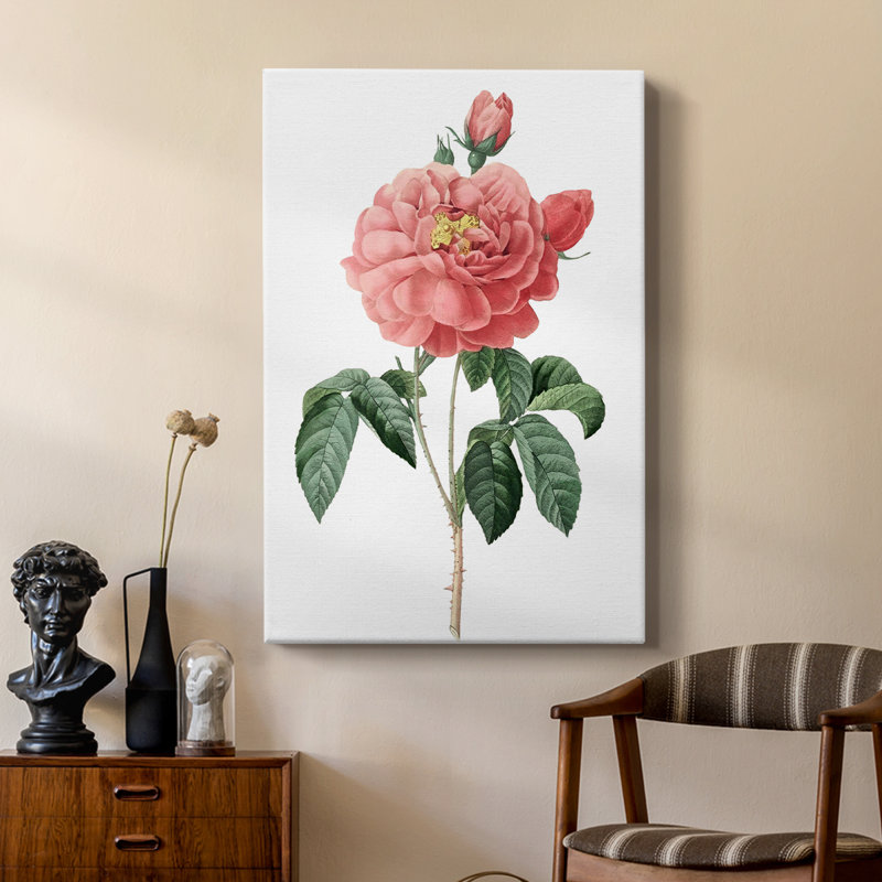Botanical Beauty III - Gallery Cavas, H 18 po x l 12 po