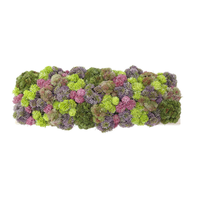 Assorted Sedum and Moss Arranged in Wood Planter, Purple/Lavender/Green