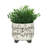 S/2 Ceramic 6/8" Scribble Footed Planter