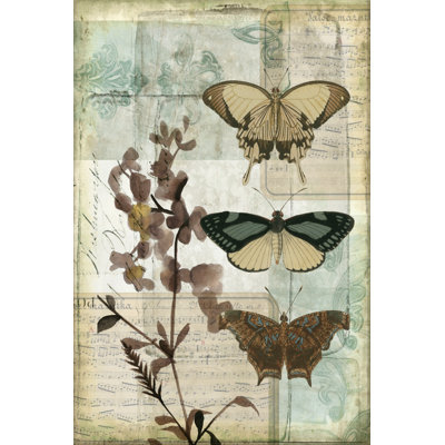 Music Box Butterflies II by Jennifer Goldberger - Wrapped Canvas Print