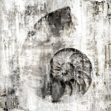 Archaic Fossils I Print by Chelsea Art Studio