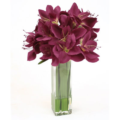Amaryllis Arrangement in Vase